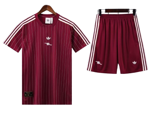 Conjunto de Entrenamiento Arsenal Football Club 2025/26