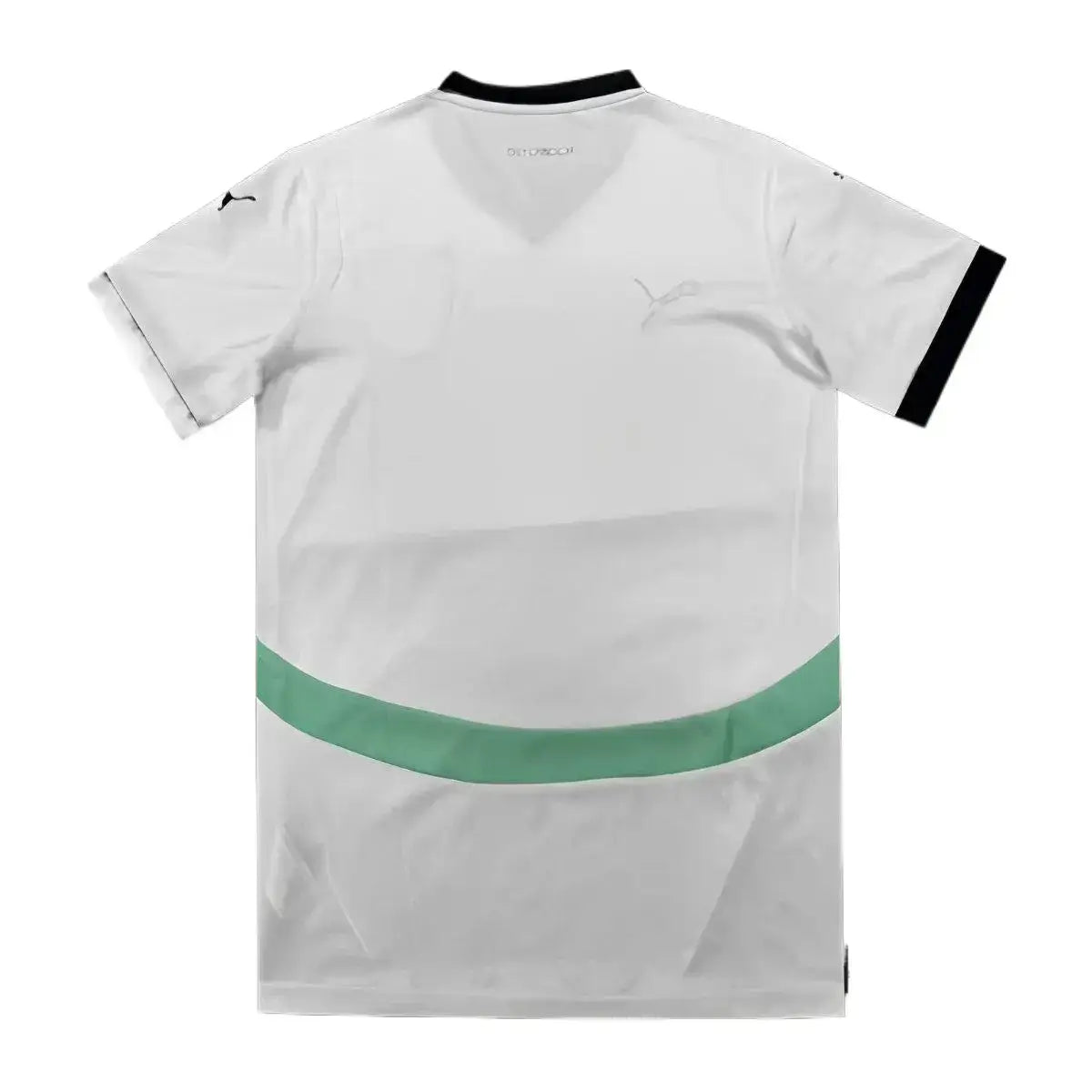 Camiseta Selección Austria Eurocopa 2024