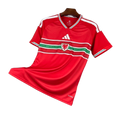 Camiseta Selección Gales Mundial 2026 | Local