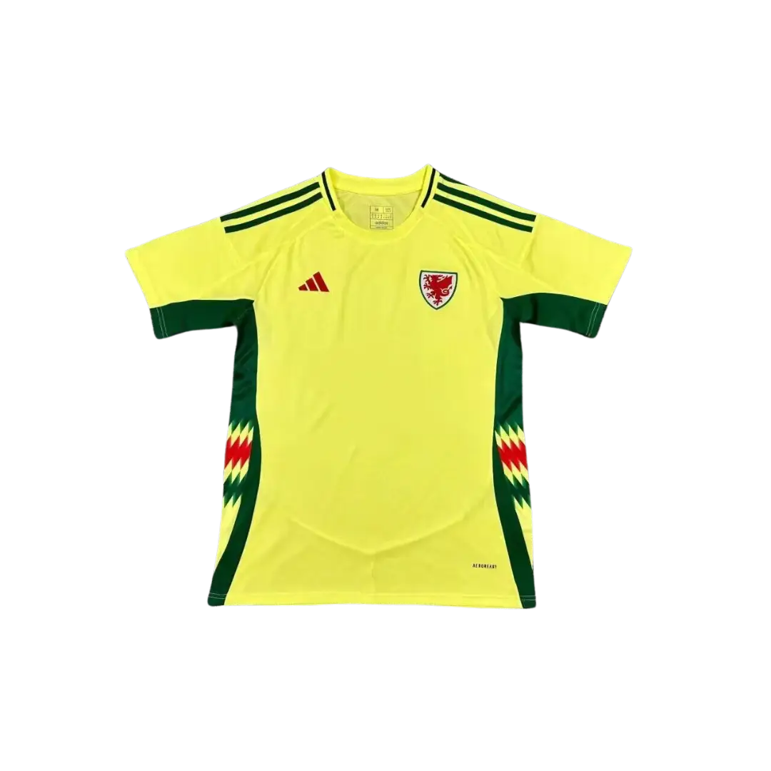 Camiseta Selección Gales – Eurocopa 2024 | Visitante