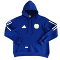 Hoodie Celtic Football Club | Azul